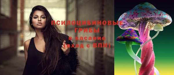 СК Абинск