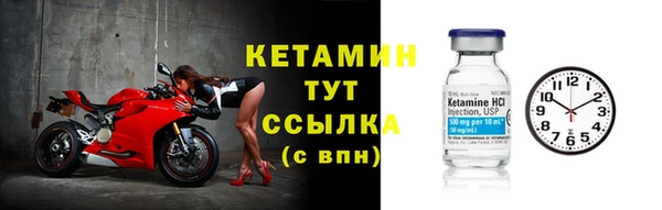 СК Абинск