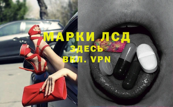 СК Абинск