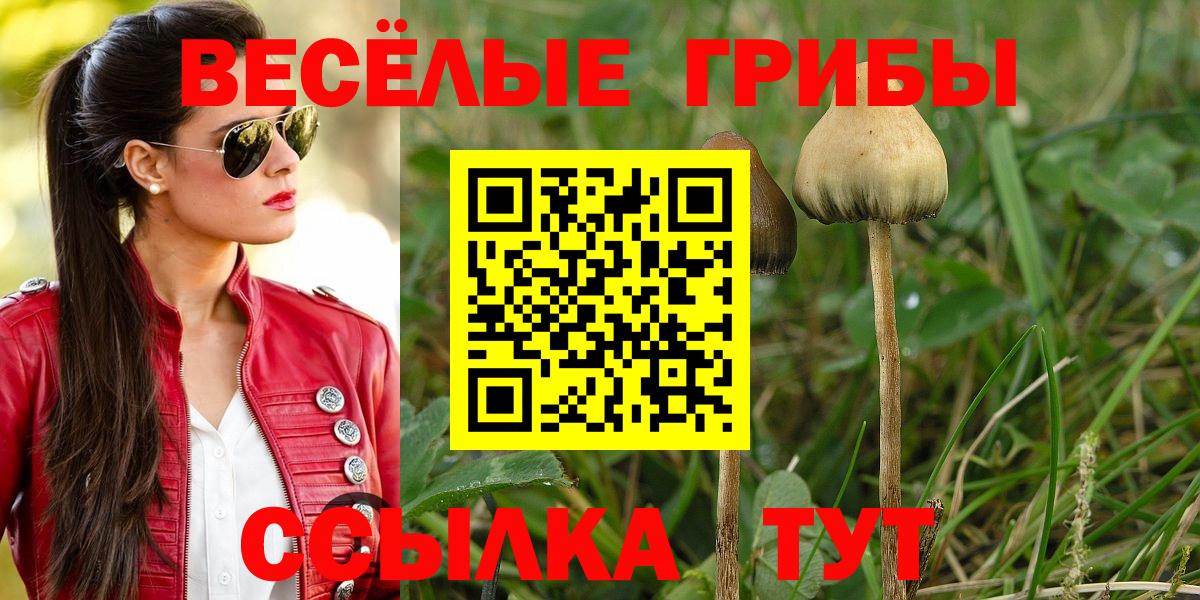 Советская Гавань  Псилоцибиновые грибы MAGIC MUSHROOMS  Вход с VPN 